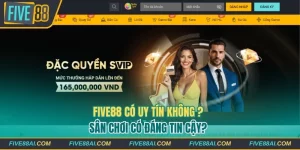 Tin tức - FIVE88 - betmaven88