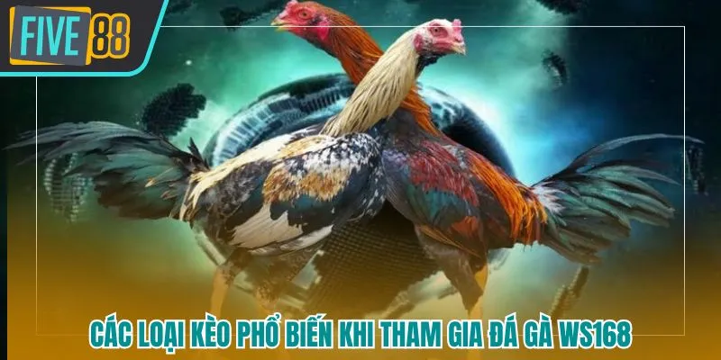 Đá gà WS168 Five88 - Sàn Thi Đấu Chiến Kê Uy Tín, Kịch Tính Hàng Đầu - betmaven88
